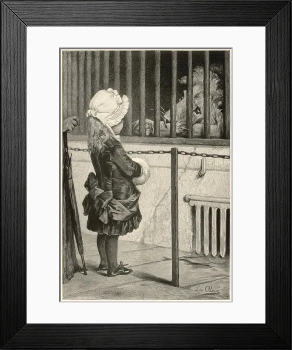 Framed Print : At the zoo Framed Print : At the zoo