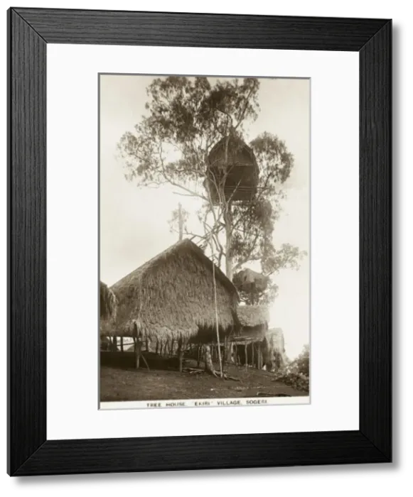 Framed Print : Papua New Guinea - Ekiti Village, Sogeri - Tree House Framed Print : Papua New Guinea - Ekiti Village, Sogeri - Tree House