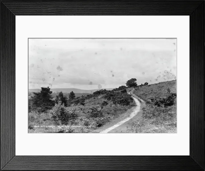 Framed Print : Fittleworth Common Pathway