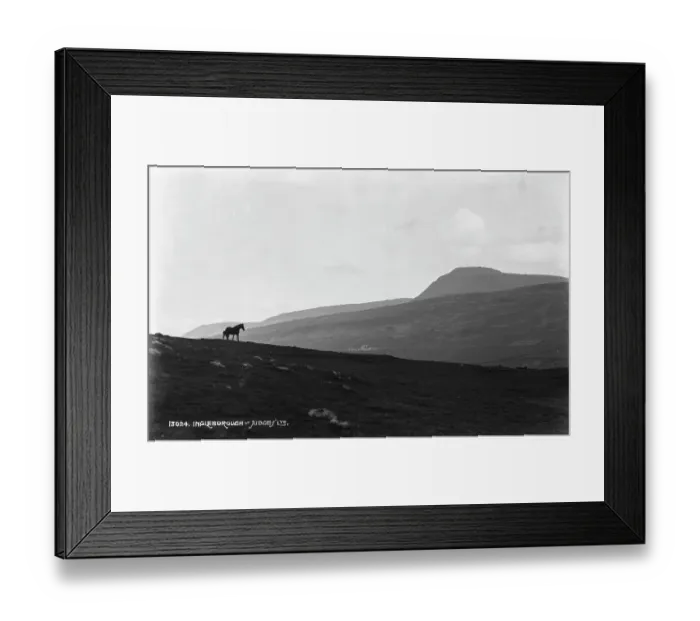 Framed Print : Horse on the Hillside Framed Print : Horse on the Hillside