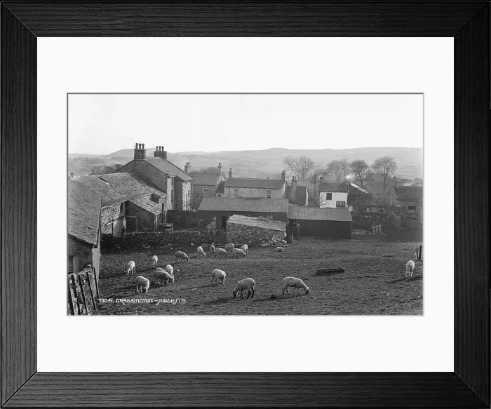 Framed Print : Sheep Grazing in Grassington Framed Print : Sheep Grazing in Grassington