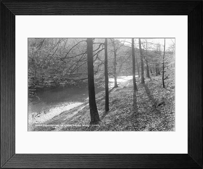 Framed Print : Tranquil Scene in Lower Grass Wood Framed Print : Tranquil Scene in Lower Grass Wood