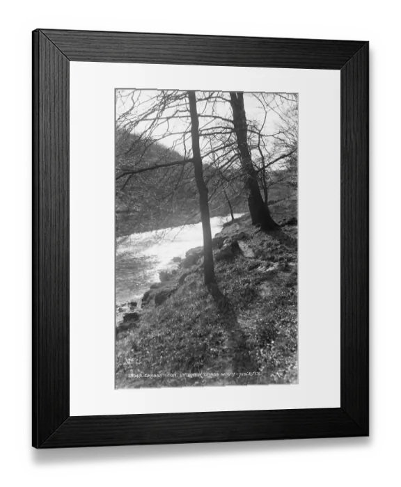 Framed Print : Scenic View of Lower Grass Wood Framed Print : Scenic View of Lower Grass Wood