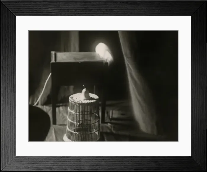 Framed Print : Photograph of the infra-red cage at the National Laborator Framed Print : Photograph of the infra-red cage at the National Laborator