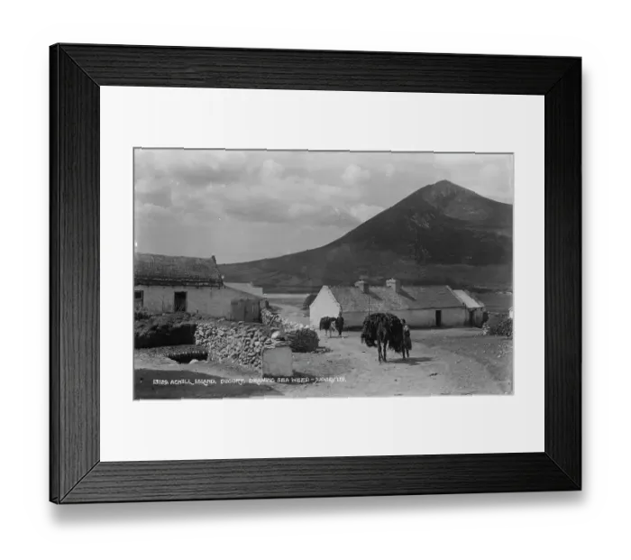 Framed Print : Drawing Seaweed in Dugort Framed Print : Drawing Seaweed in Dugort