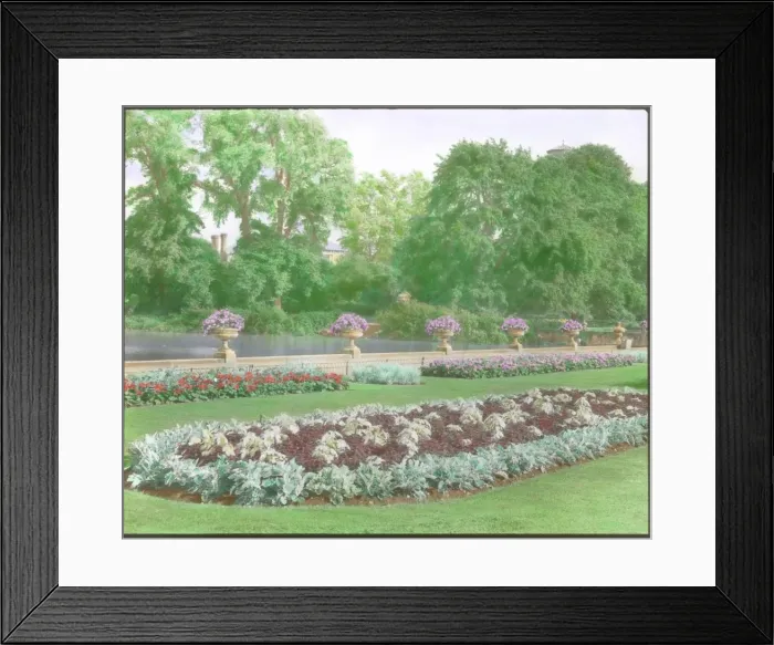 Framed Print : Flowerbeds and trees at Kew Gardens Framed Print : Flowerbeds and trees at Kew Gardens