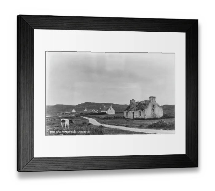 Framed Print : Iona Homestead Framed Print : Iona Homestead