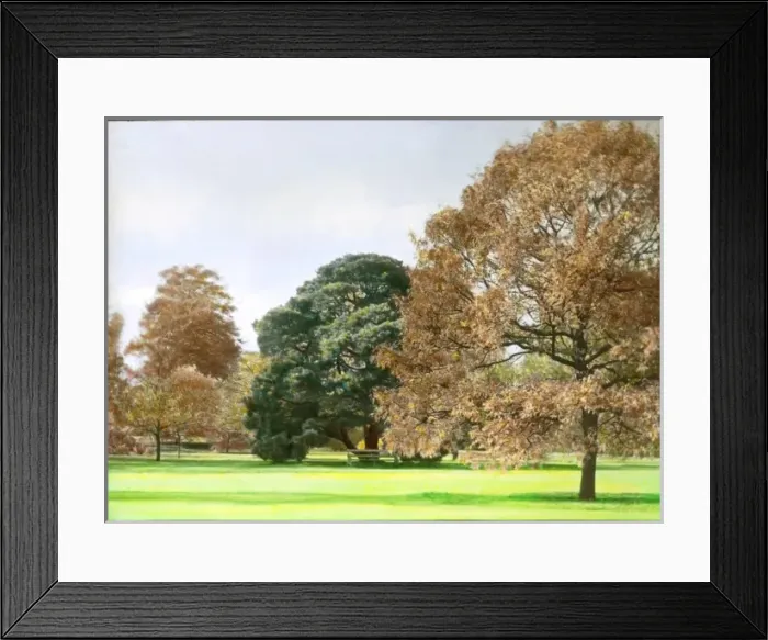 Framed Print : Kew Gardens in the autumn Framed Print : Kew Gardens in the autumn