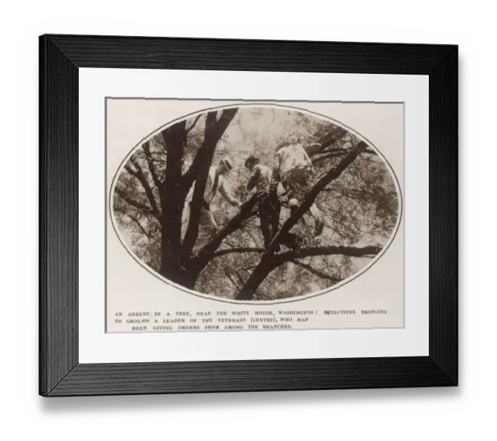 Framed Print : The Bonus Army: arrests made Framed Print : The Bonus Army: arrests made