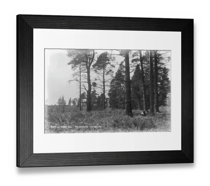 Framed Print : On Pitch Hill Framed Print : On Pitch Hill
