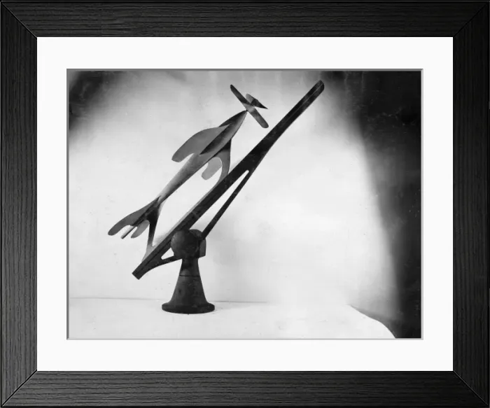 Framed Print : Aerial torpedoes Framed Print : Aerial torpedoes