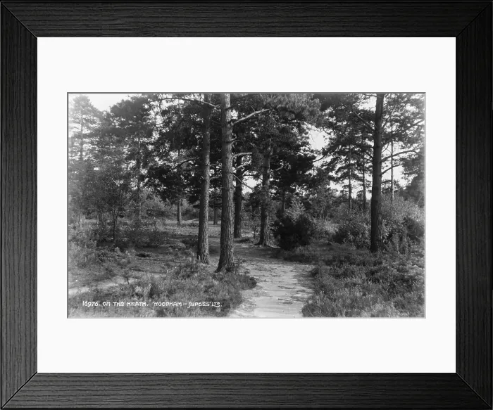 Framed Print : On the Heath Framed Print : On the Heath