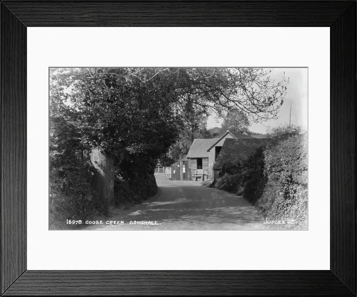 Framed Print : Goose Green, Gomshall Framed Print : Goose Green, Gomshall