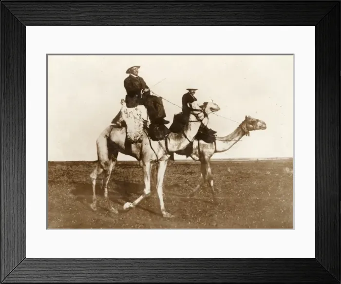 Framed Print : Two men riding camels Framed Print : Two men riding camels