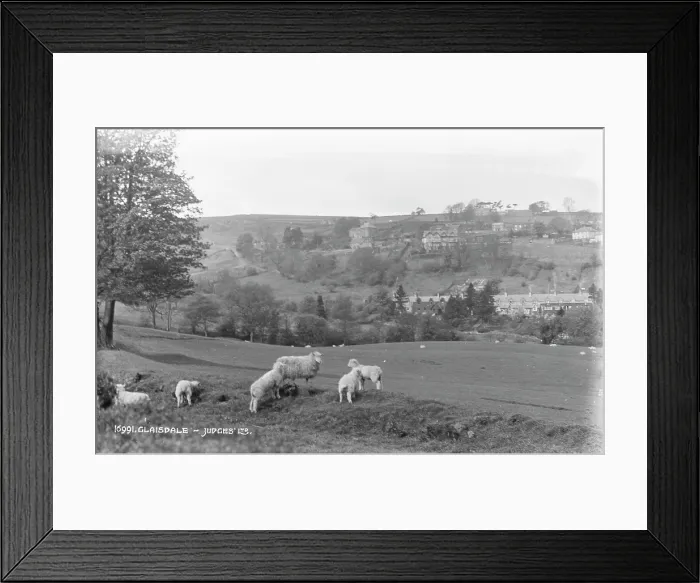 Framed Print : Sheep Grazing in Glaisdale Framed Print : Sheep Grazing in Glaisdale