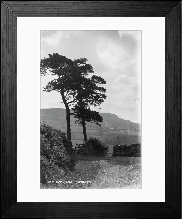 Framed Print : Danby Dale - Judges LB Framed Print : Danby Dale - Judges LB