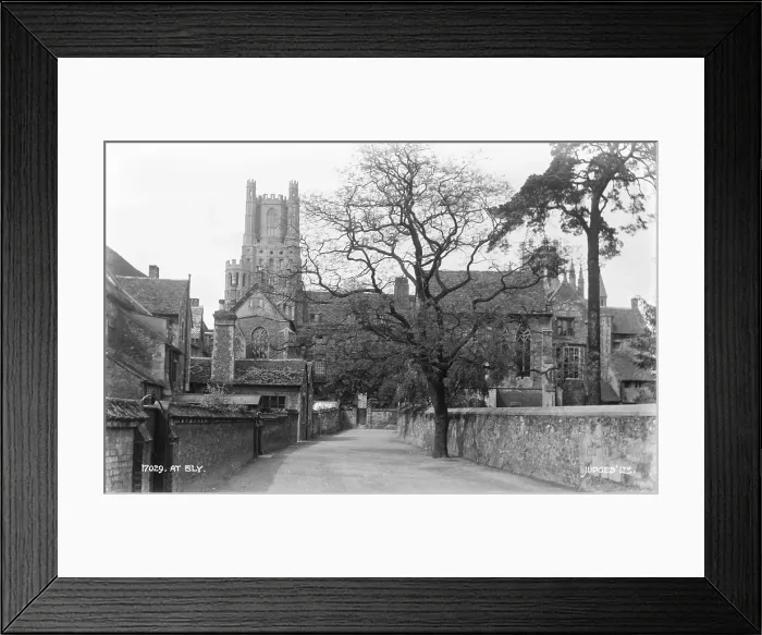 Framed Print : View of Ely Cathedral Framed Print : View of Ely Cathedral