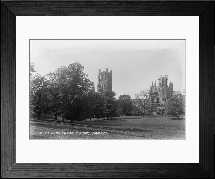 Framed Print : Ely Cathedral from the Park Framed Print : Ely Cathedral from the Park
