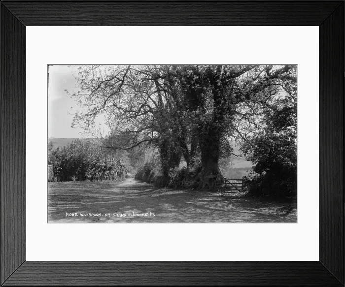 Framed Print : Wambrook Lane Framed Print : Wambrook Lane