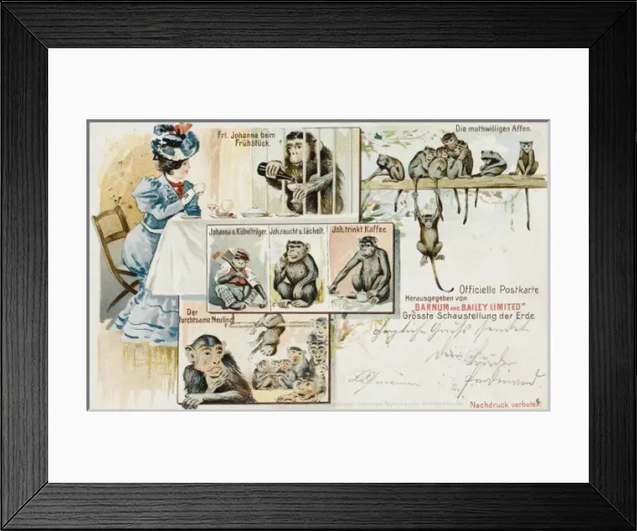 Framed Print : Barnum & Bailey Chimps Framed Print : Barnum & Bailey Chimps