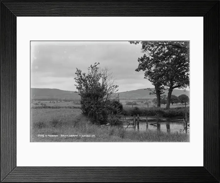 Framed Print : A Meadow at Bryn Asaph Framed Print : A Meadow at Bryn Asaph