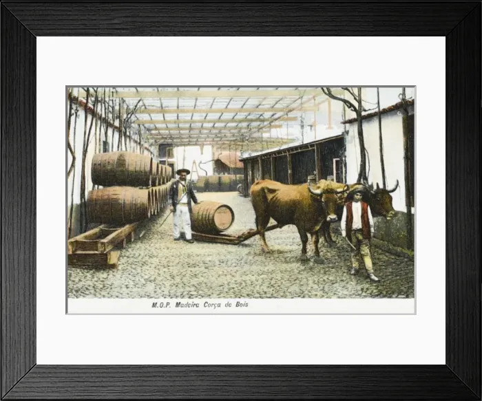 Framed Print : Madeira Barrels - Madeira, Portugal Framed Print : Madeira Barrels - Madeira, Portugal