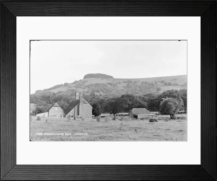 Framed Print : Chanctonbury Ring Framed Print : Chanctonbury Ring