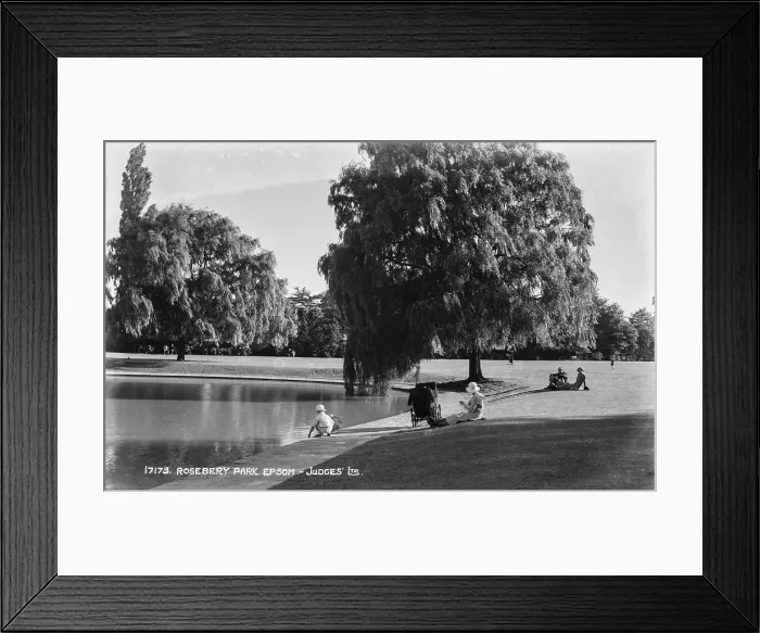 Framed Print : A Day at Rosebery Park Framed Print : A Day at Rosebery Park