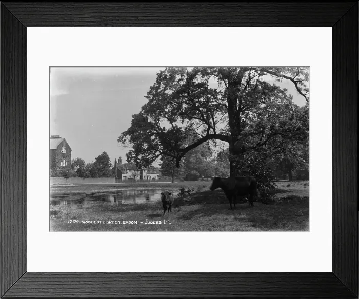 Framed Print : Woodcote Green, Epsom Framed Print : Woodcote Green, Epsom