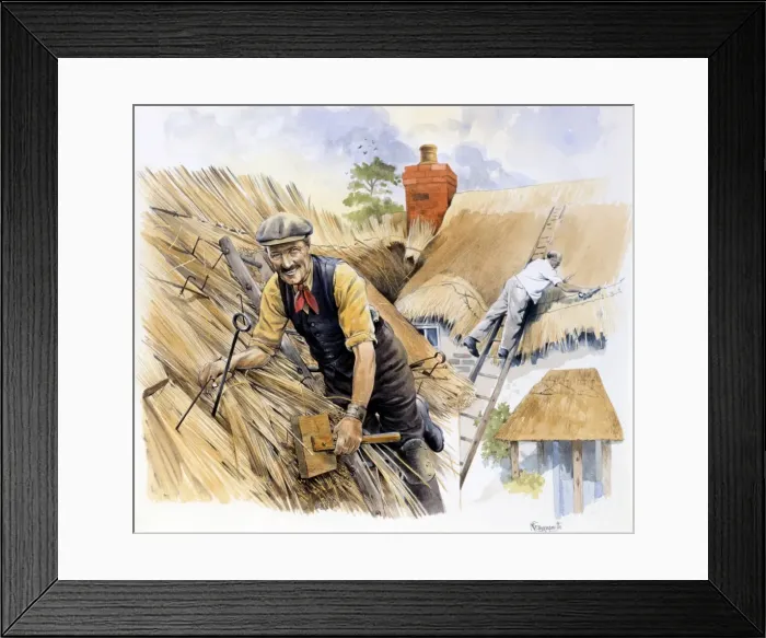 Framed Print : Two thatchers at work Framed Print : Two thatchers at work