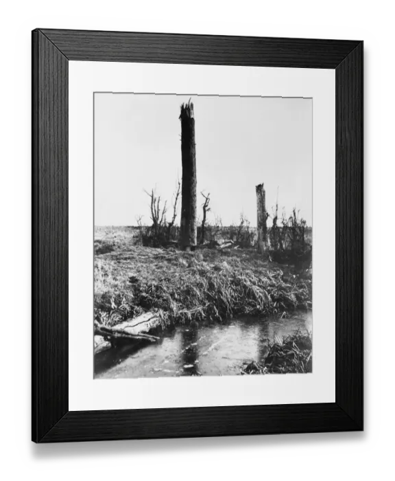 Framed Print : Observation Post Framed Print : Observation Post