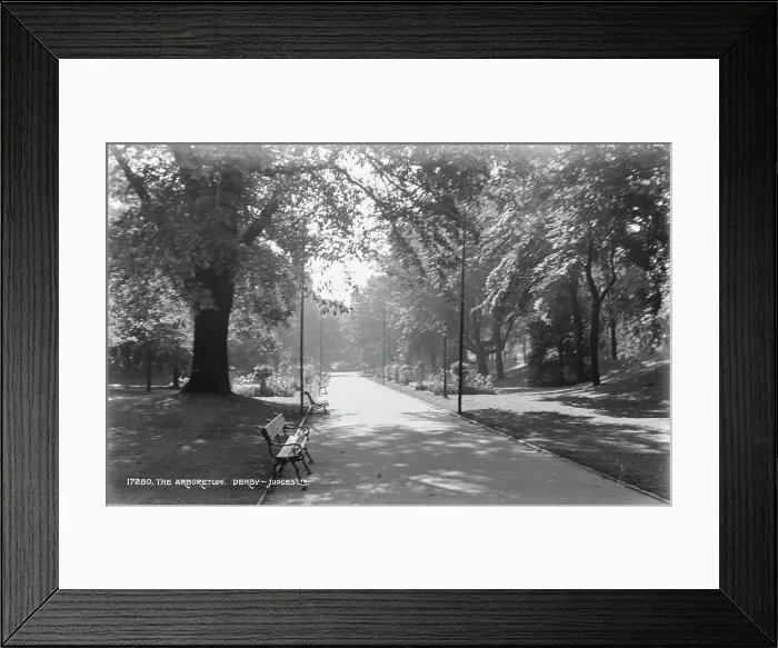 Framed Print : The Arboretum Framed Print : The Arboretum