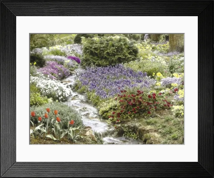 Framed Print : Garden detail with stream at Abbotswood, Gloucestershire Framed Print : Garden detail with stream at Abbotswood, Gloucestershire