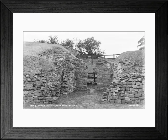 Framed Print : Animals Den at Caerleon Amphitheatre Framed Print : Animals Den at Caerleon Amphitheatre