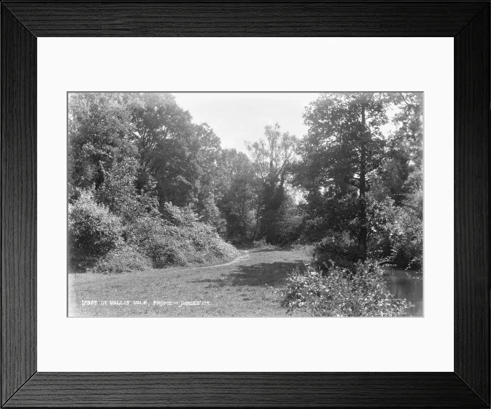 Framed Print : In Vallis Vale Framed Print : In Vallis Vale