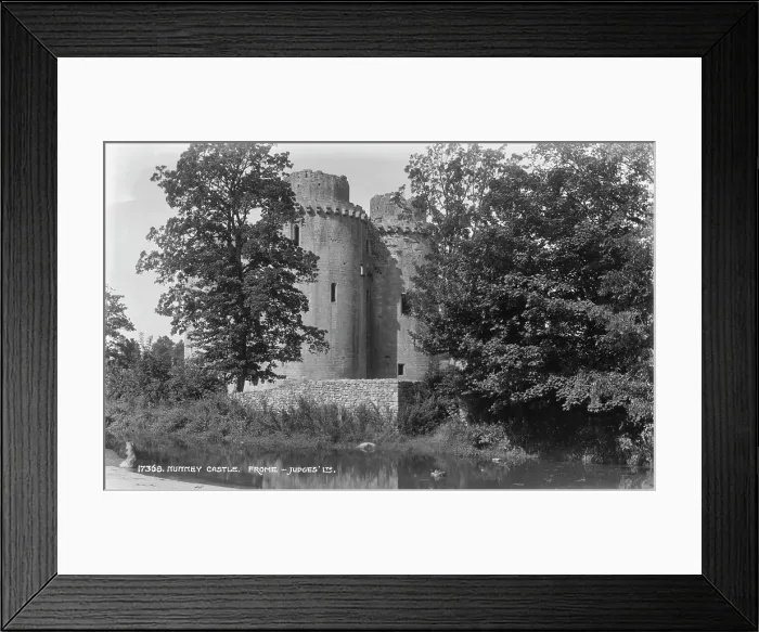 Framed Print : Munkey Castle Framed Print : Munkey Castle