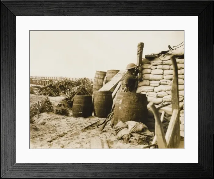 Framed Print : World War I Framed Print : World War I