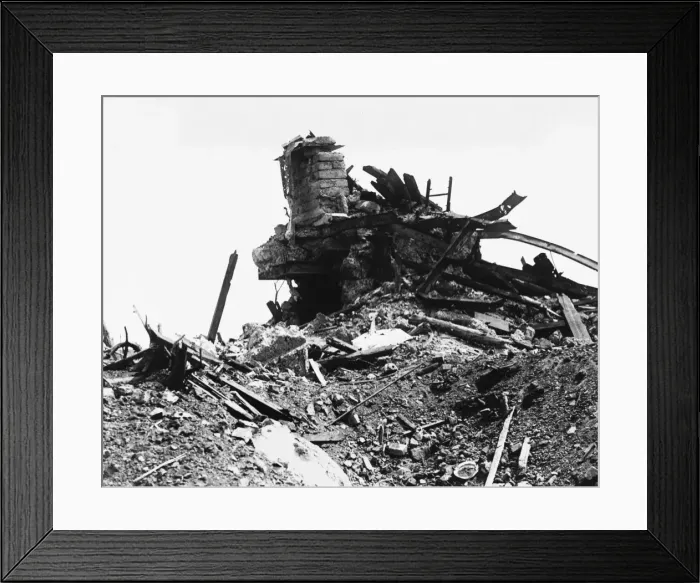 Framed Print : World War I Framed Print : World War I