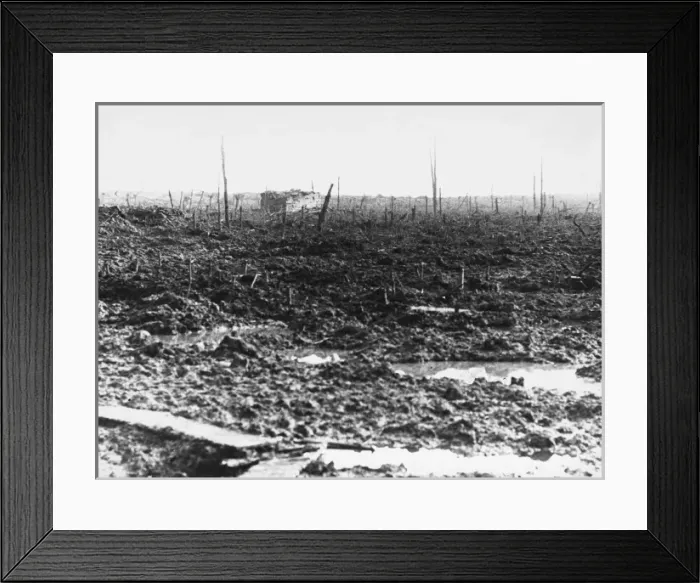 Framed Print : World War I Framed Print : World War I