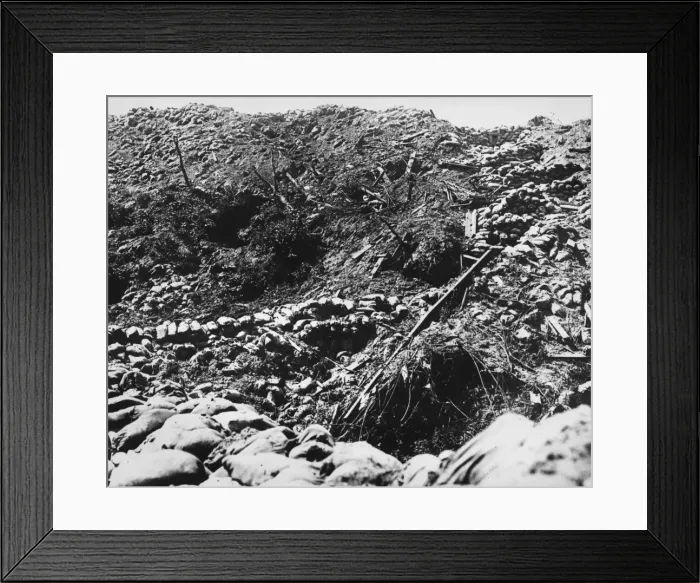 Framed Print : Hill 60. Part of Hill 60, situated to the south-east of Ypres Framed Print : Hill 60. Part of Hill 60, situated to the south-east of Ypres