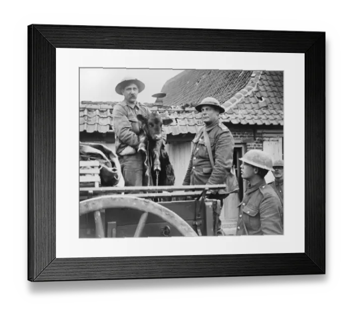 Framed Print : Soldiers with calf Framed Print : Soldiers with calf