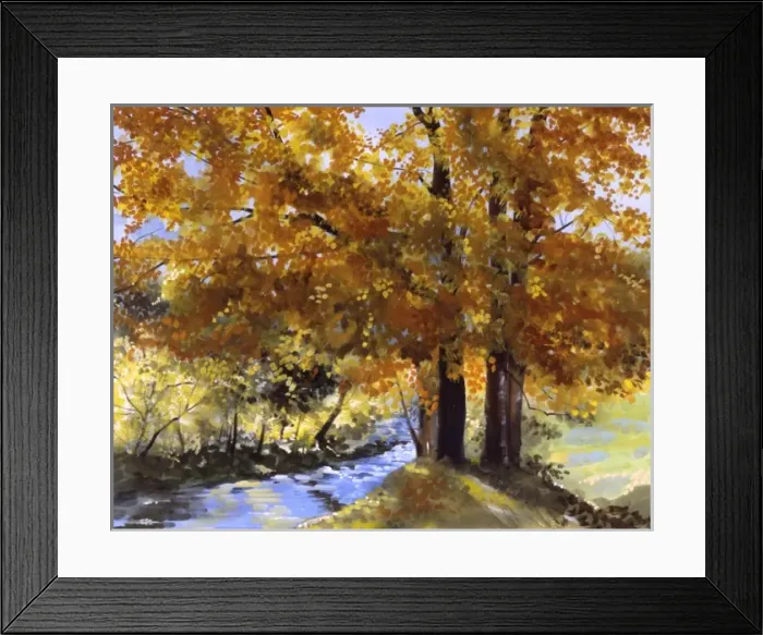Framed Print : Maple Fall Framed Print : Maple Fall