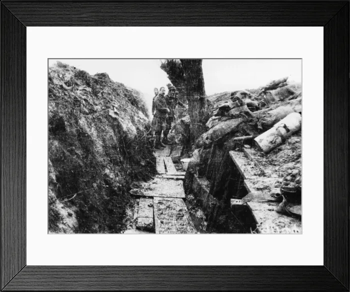 Framed Print : Willow trench 1914 Framed Print : Willow trench 1914