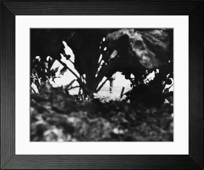 Framed Print : British troops in France 1914 Framed Print : British troops in France 1914
