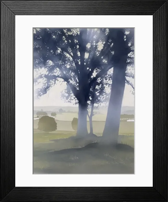 Framed Print : Light through the trees Framed Print : Light through the trees