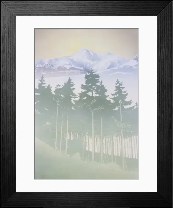 Framed Print : Mountain fir tree forest Framed Print : Mountain fir tree forest