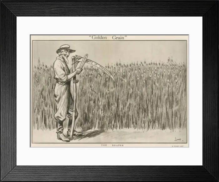 Framed Print : Golden Grain Framed Print : Golden Grain