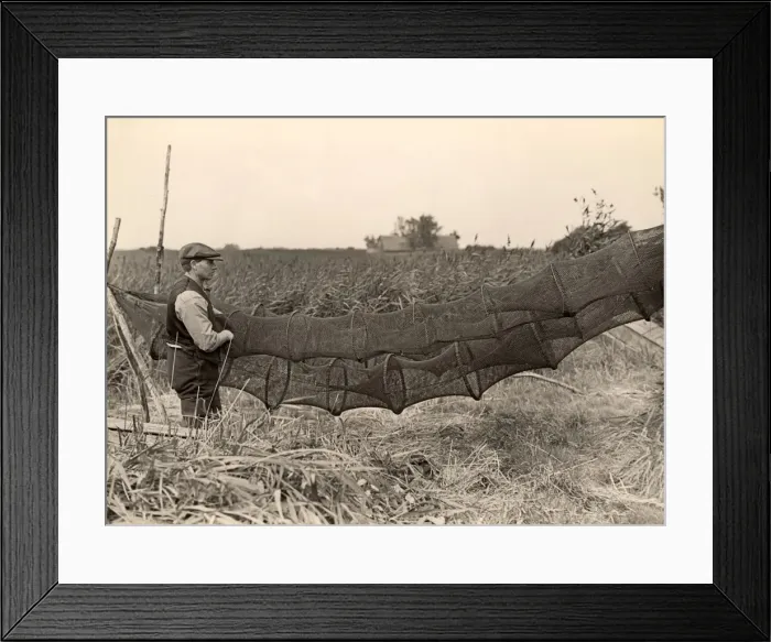 Framed Print : Eel traps, Norfolk, 1930s Framed Print : Eel traps, Norfolk, 1930s