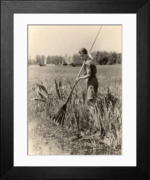 Framed Print : Eel spearing on the Broads, 1932 Framed Print : Eel spearing on the Broads, 1932