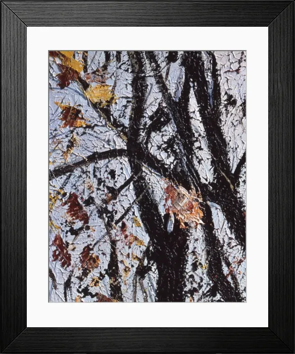 Framed Print : Autumnal trees